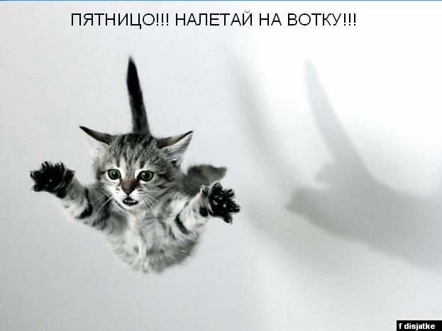 ����� ������. �����