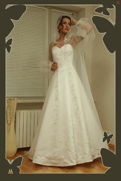 ����� ������. �����