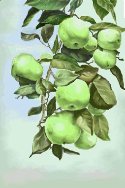 %CA%F2%EE %F3%EC%E5%E5%F2 %F0%E8%F1%EE%E2%E0%F2%FC%3F