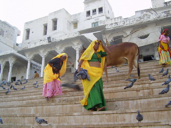 ����� ������. �����