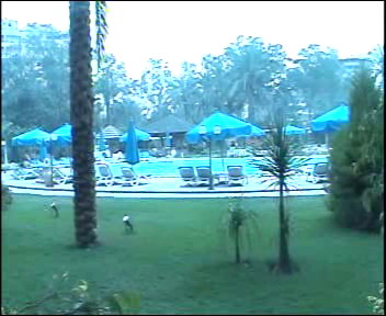 ��������� AHLAN WA SAHLAN 2007. ���� 27 ����-3 ����