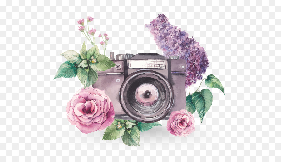 8 ������� 2018 � 12:00 �����������.DANCE �������-�������!