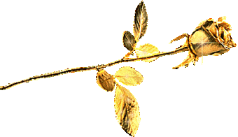 ����� ������. �����