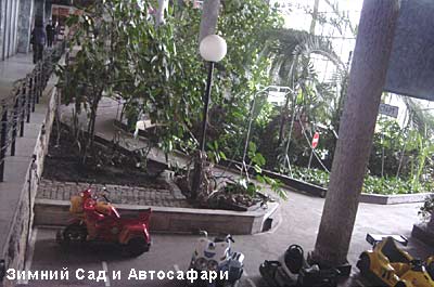 ����.5 ������ ���������-������� "�����"  ��� ����������. ���