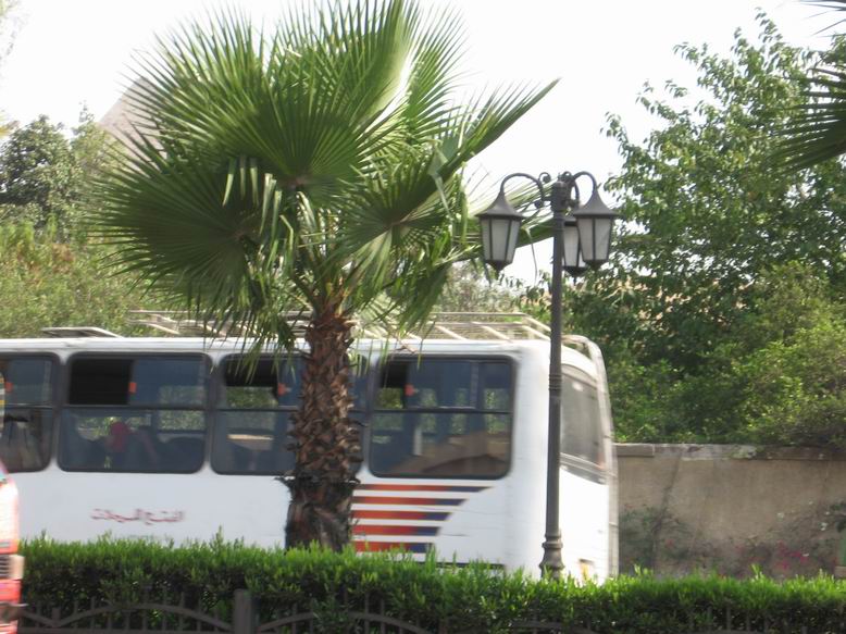 ��������� "Nile Group" � ����� 19-26 ����